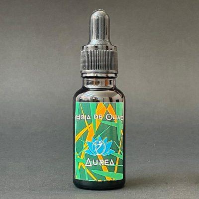 Hoja de Olivo (Olea europea)