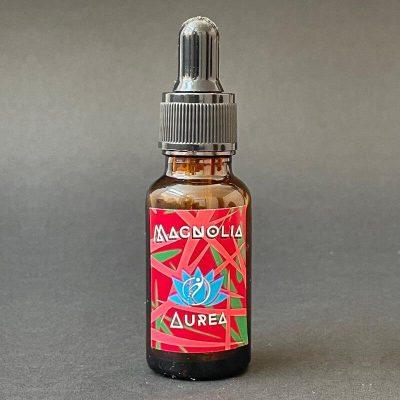 Magnolia mexicana / Yoloxochitl