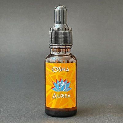 Osha / Chuchupate (Ligusticum porteri)