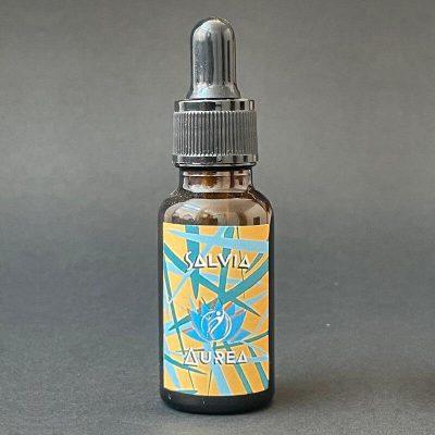 Salvia (Salvia officinalis)