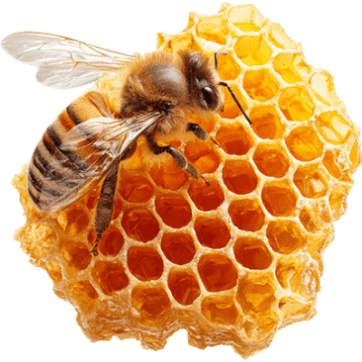 Cera de abeja