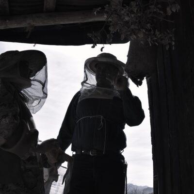 La apicultura foemnta el aprendizaje y la transferencia del conocimiento.